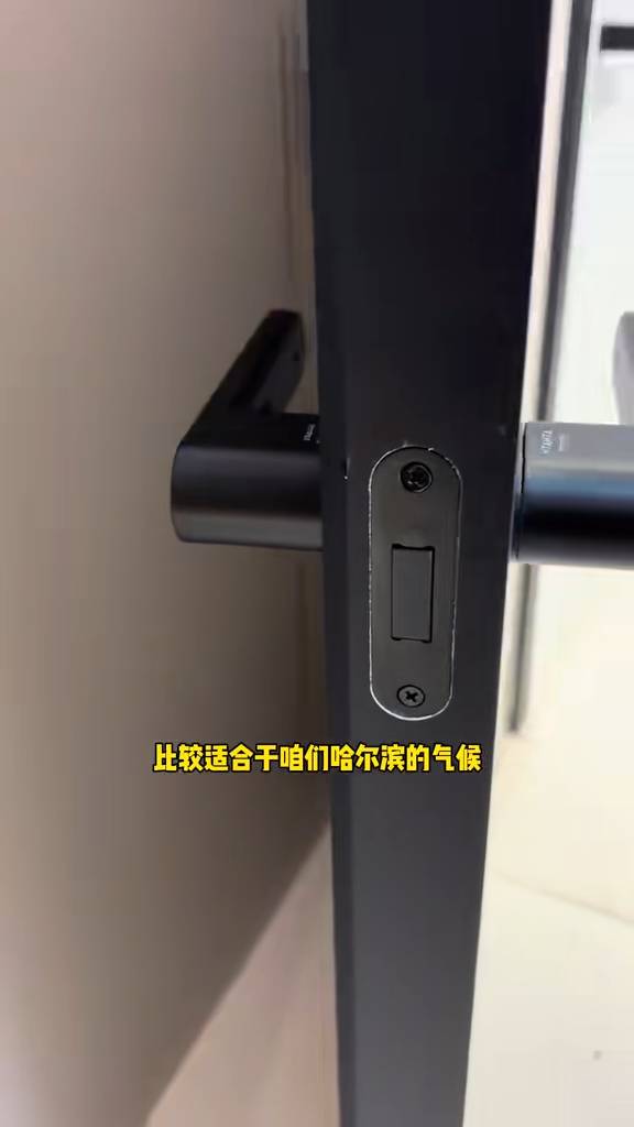 哈尔滨极简铝木门｜北方温差大耐潮抗变形供暖天不翘